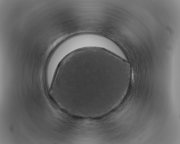 X0000113880348200910081751