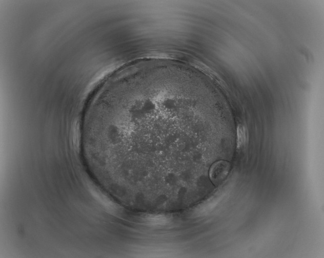 X0000113880349200910081751