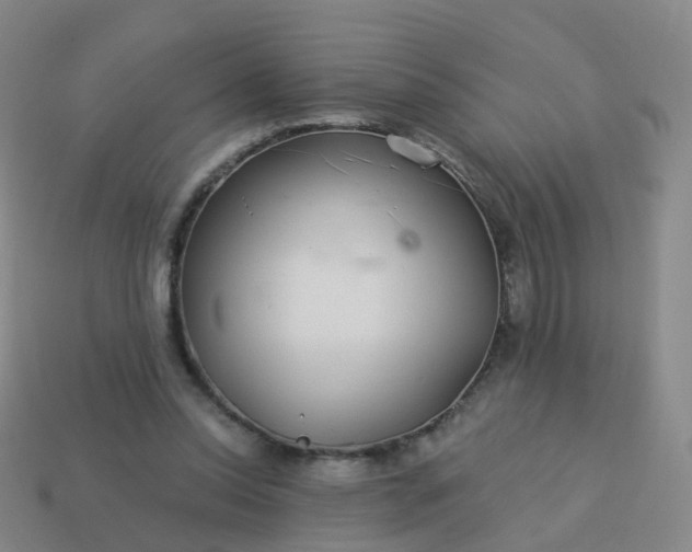 X0000113880350200910081751