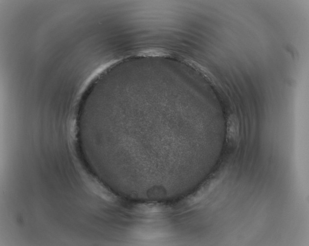 X0000113880351200910081751