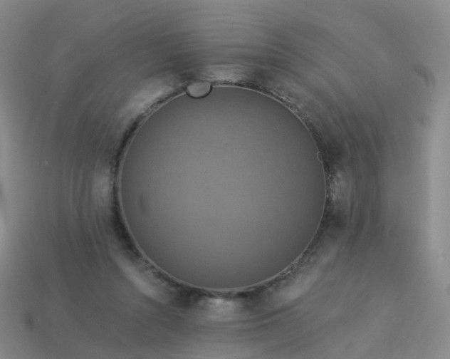 X0000113880352200910081751