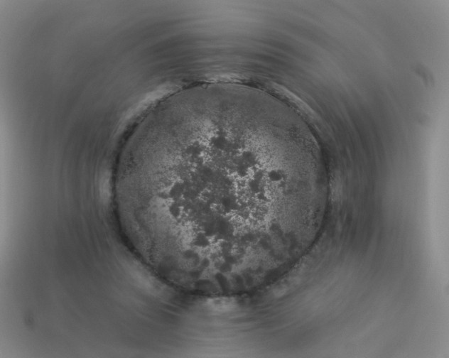 X0000113880353200910081751