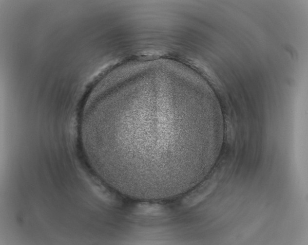 X0000113880354200910081751