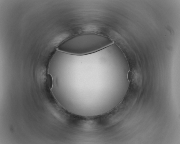 X0000113880356200910081751