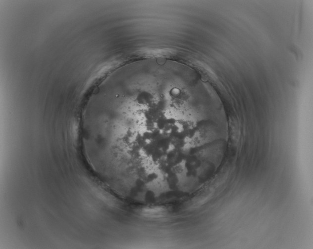 X0000113880357200910081751