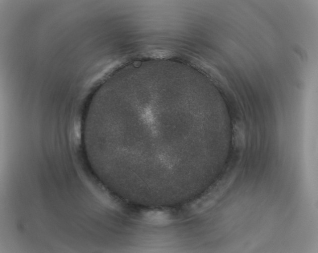 X0000113880358200910081751