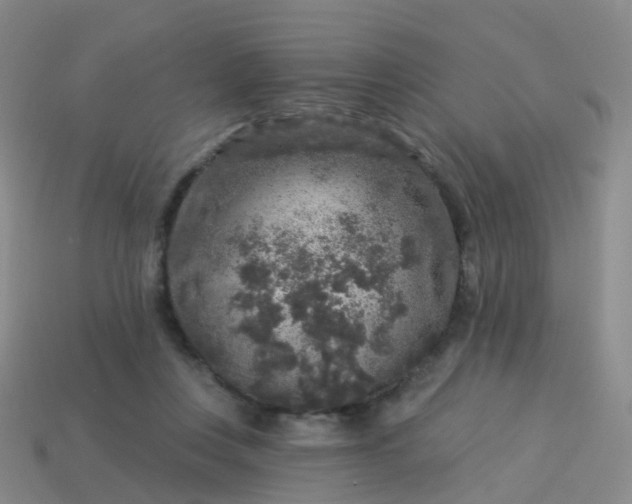 X0000113880359200910081751