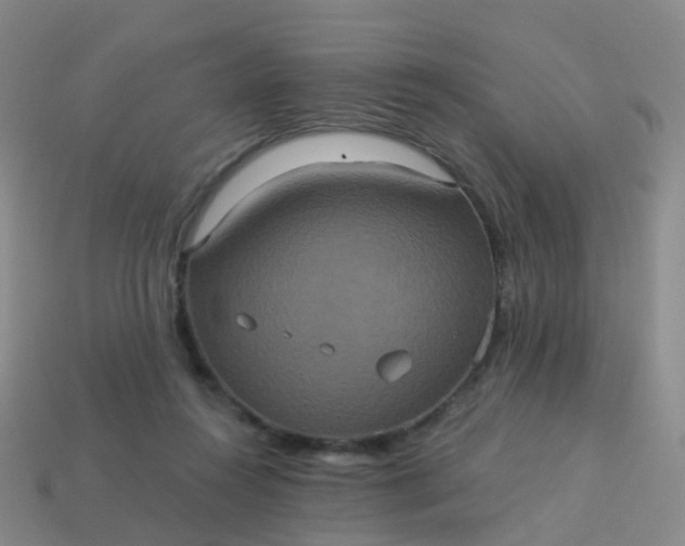 X0000113880360200910081751