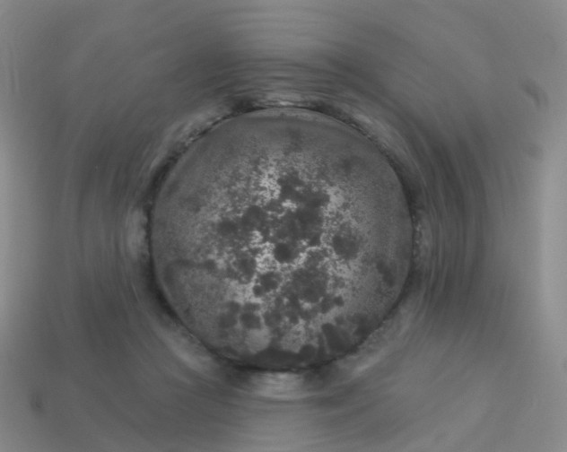 X0000113880361200910081751