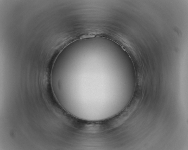 X0000113880362200910081751