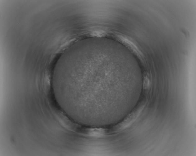 X0000113880363200910081751