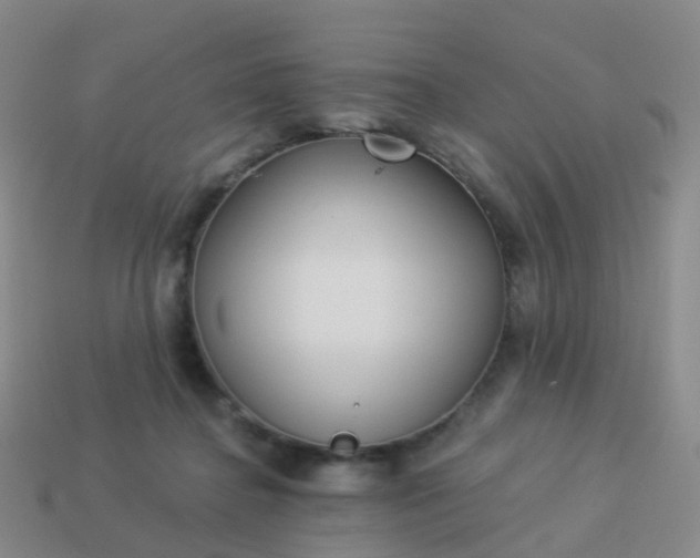 X0000113880364200910081751