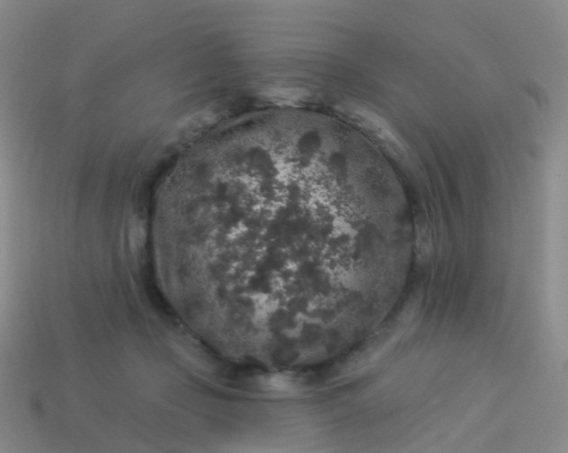 X0000113880365200910081751