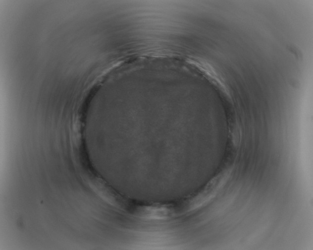 X0000113880366200910081752