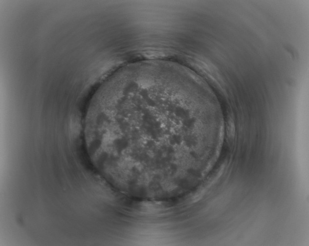 X0000113880367200910081752