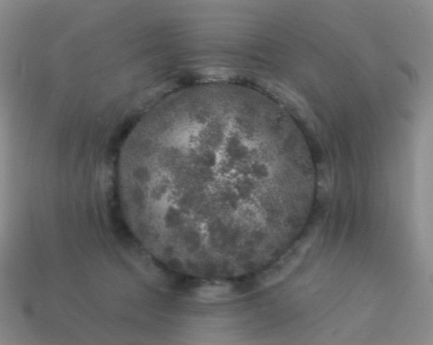 X0000113880369200910081752