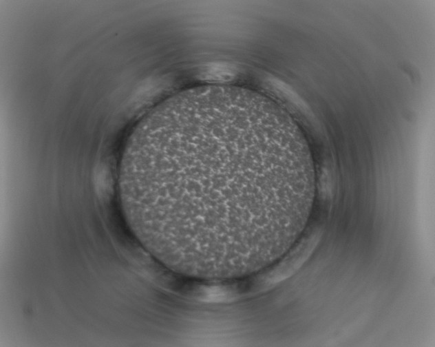 X0000113880370200910081752