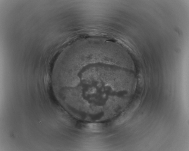 X0000113880371200910081752