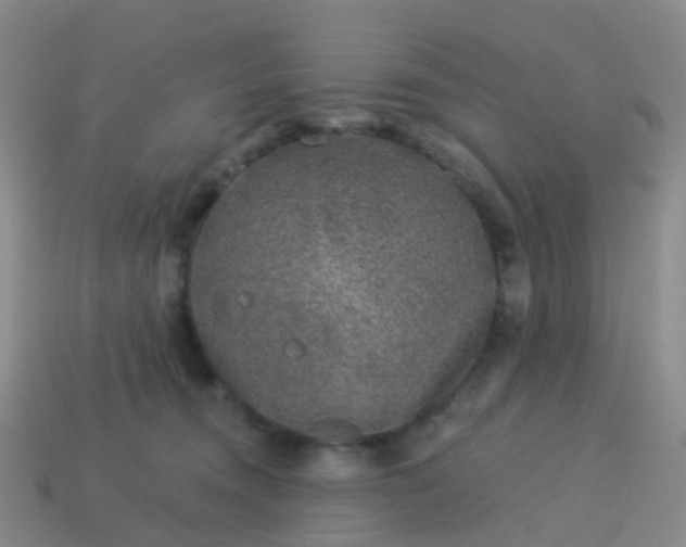 X0000113880372200910081752