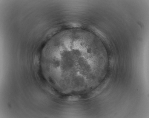 X0000113880373200910081752