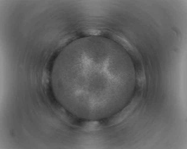 X0000113880374200910081752