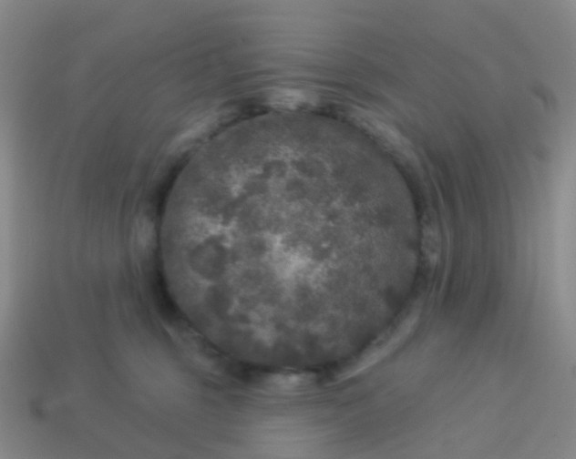 X0000113880375200910081752