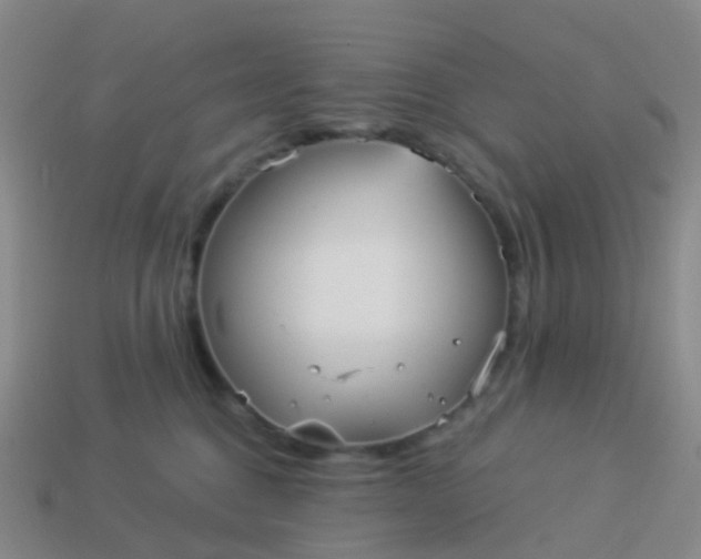 X0000113880376200910081752