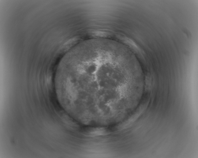 X0000113880377200910081752