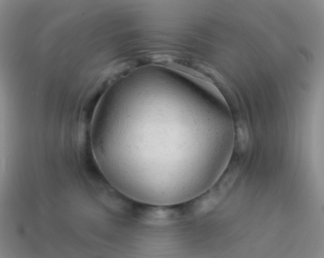 X0000113880379200910081752