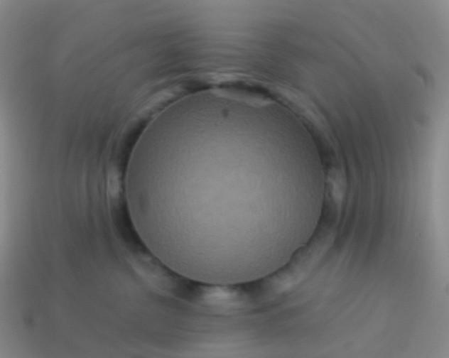 X0000113880380200910081752