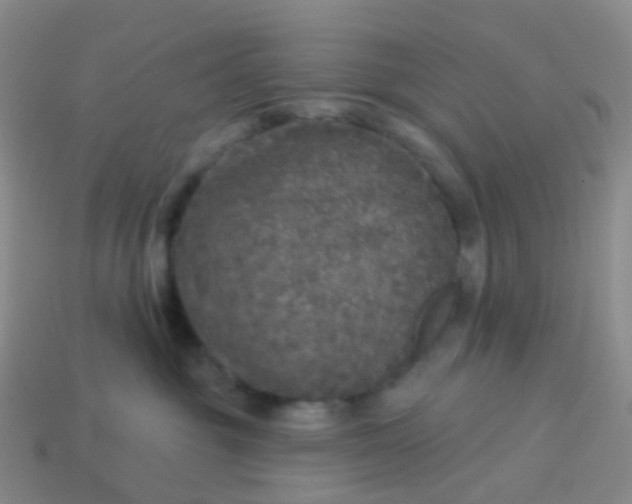 X0000113880381200910081752