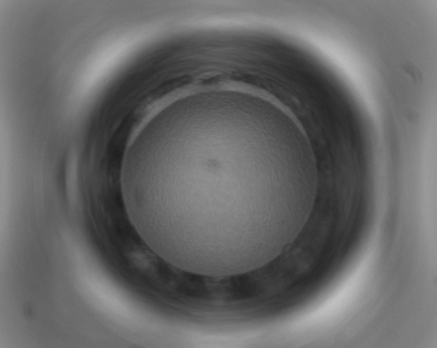 X0000113880382200910081752