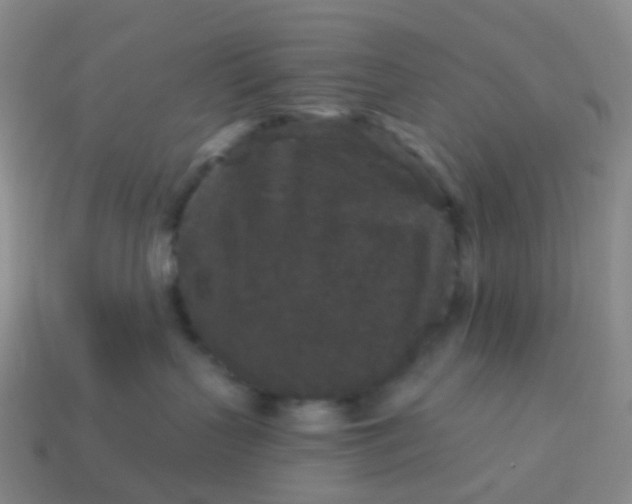 X0000113880383200910081752