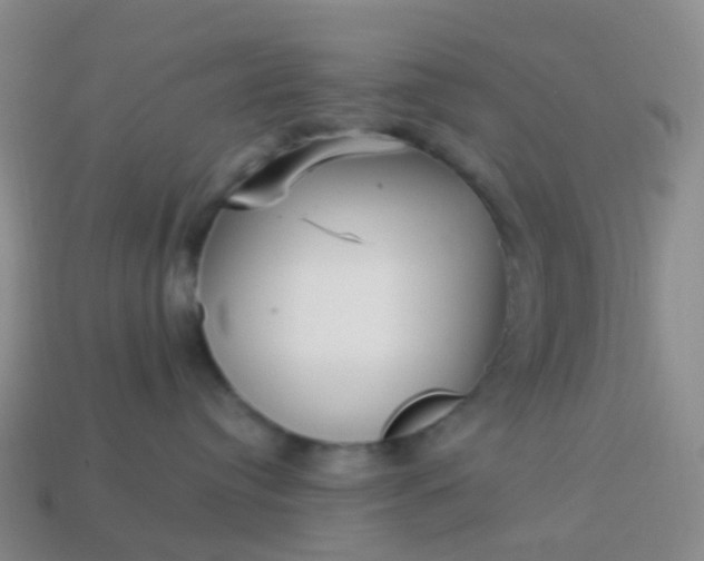 X0000113880384200910081752