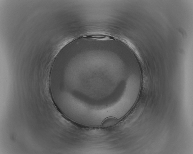 X0000113880385200910081751