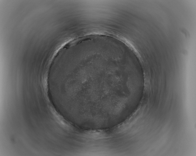 X0000113880386200910081751