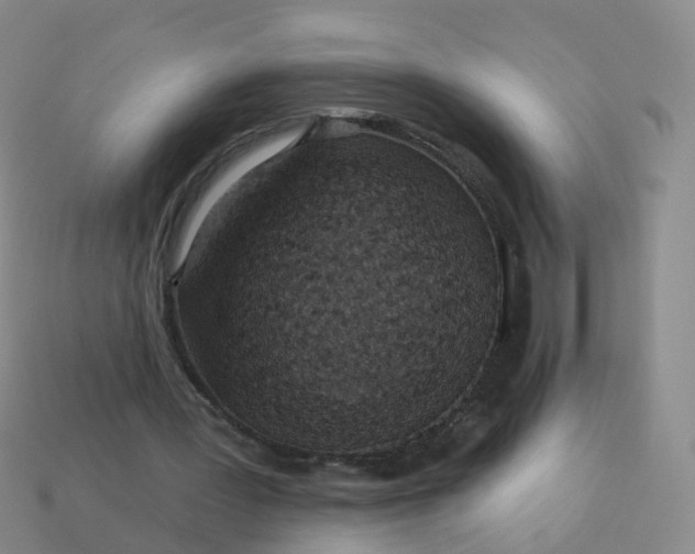 X0000113880387200910081751