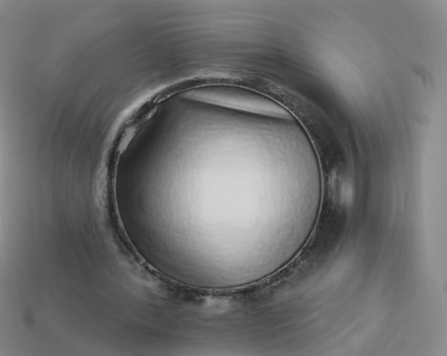 X0000113880388200910081751