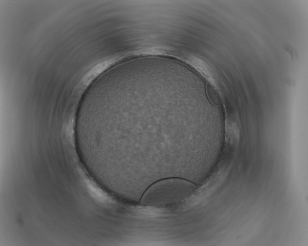 X0000113880389200910081751