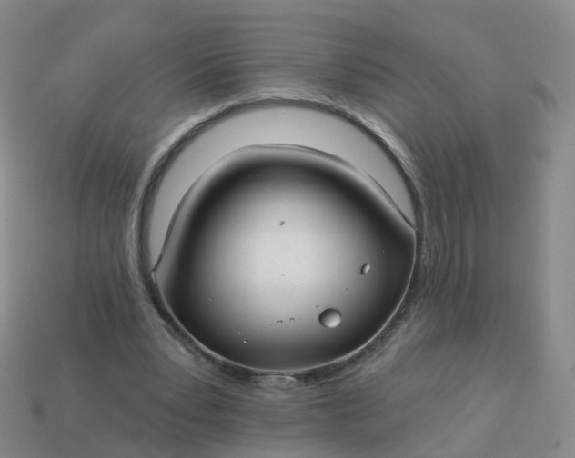 X0000113880391200910081751