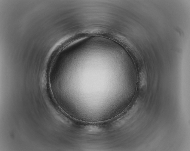 X0000113880392200910081751