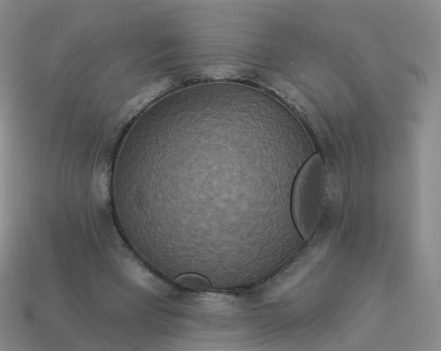 X0000113880393200910081751