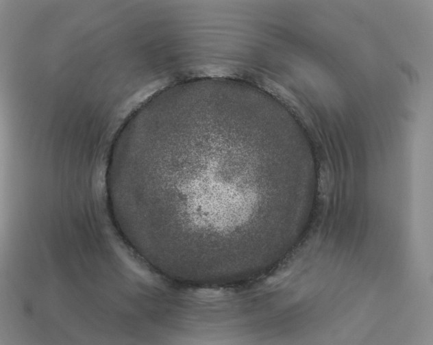 X0000113880394200910081751