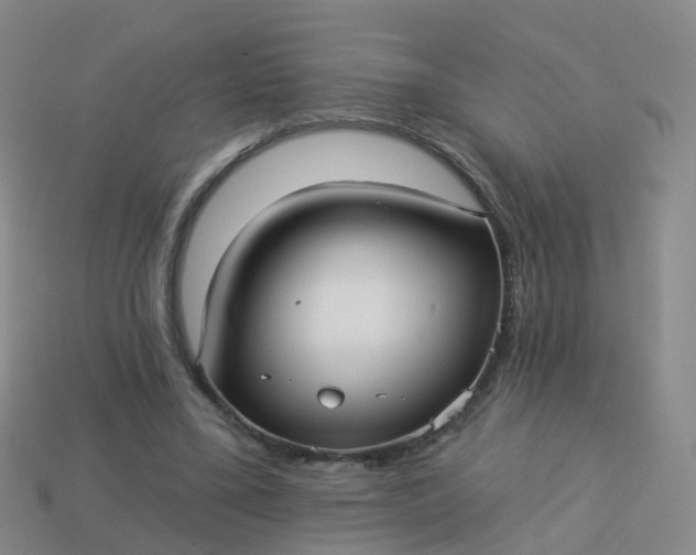 X0000113880395200910081751