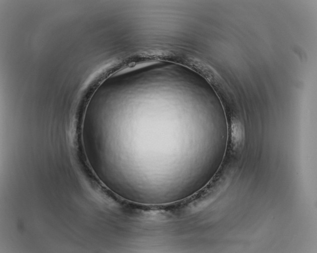 X0000113880396200910081751