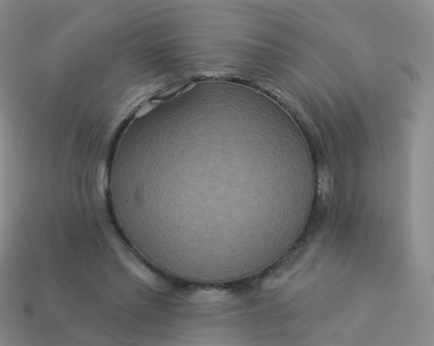 X0000113880397200910081751