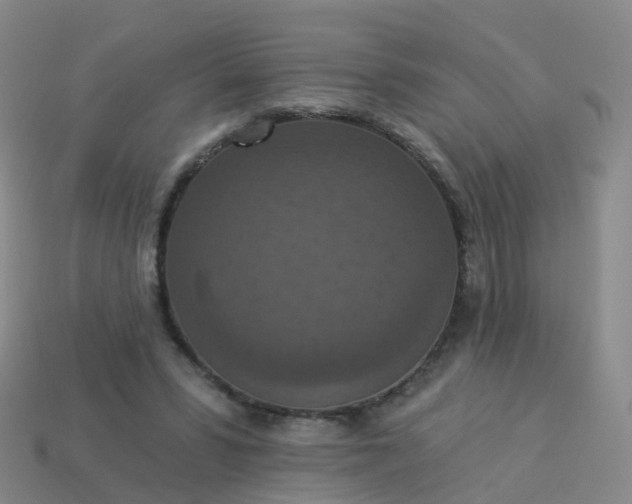 X0000113880399200910081751