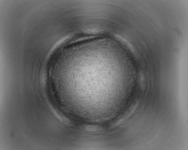 X0000113880400200910081751