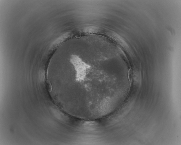 X0000113880401200910081751