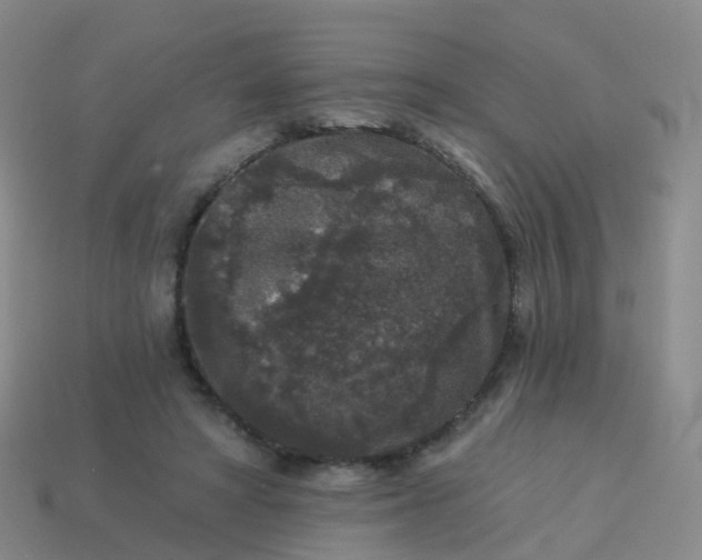 X0000113880402200910081751